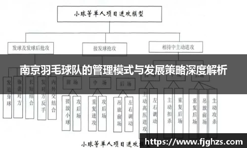南京羽毛球队的管理模式与发展策略深度解析