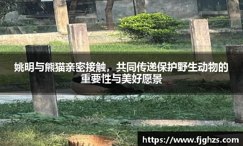 XK体育