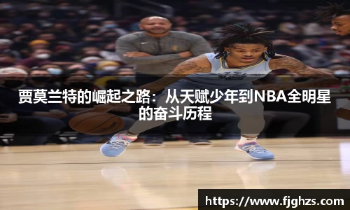 XK星空官网