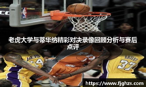 XK星空官网